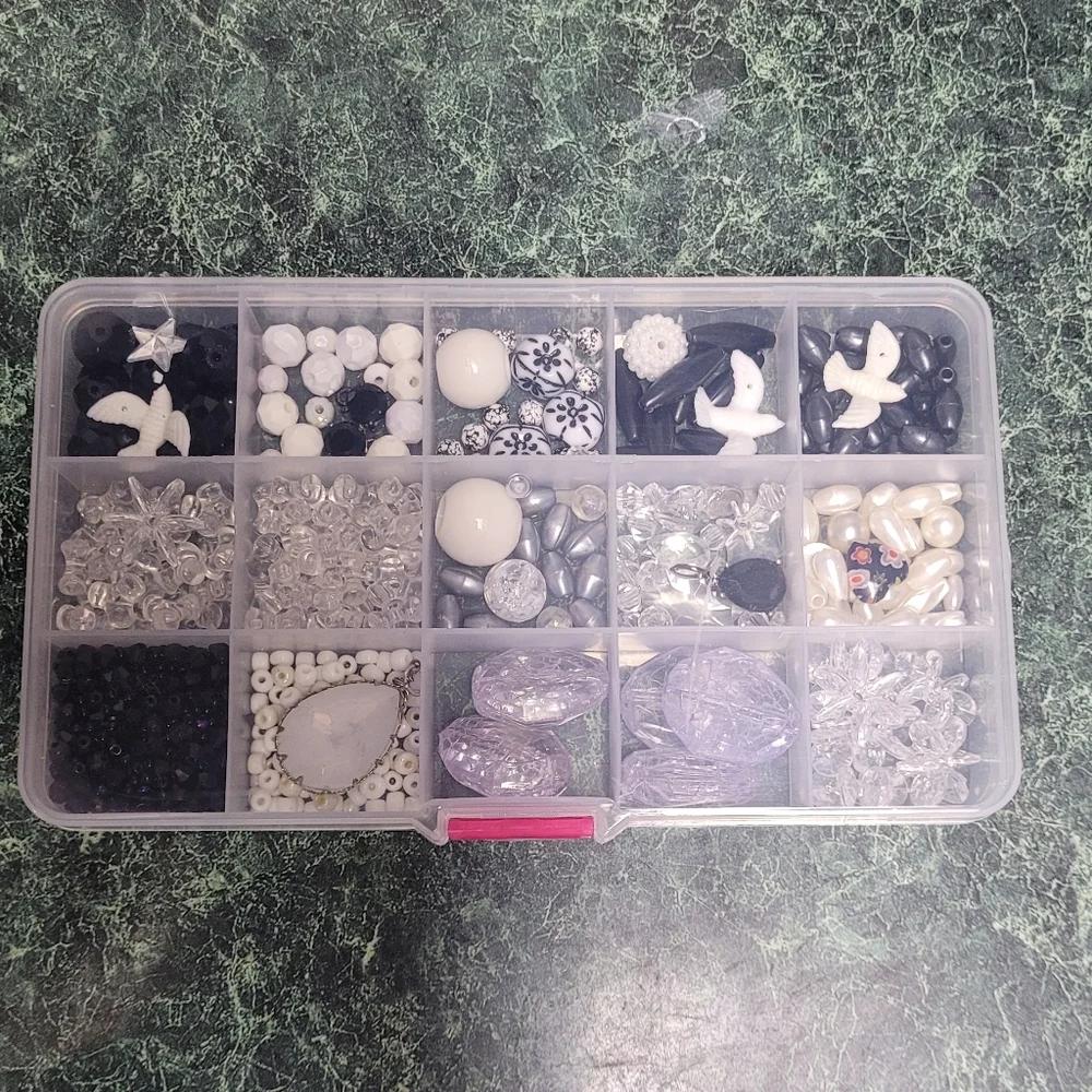 Elegant Bead Organizer with Black and White Accents